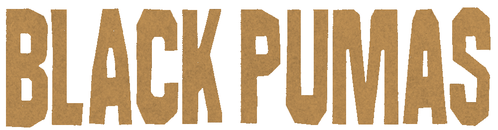 Brown and black pumas sales