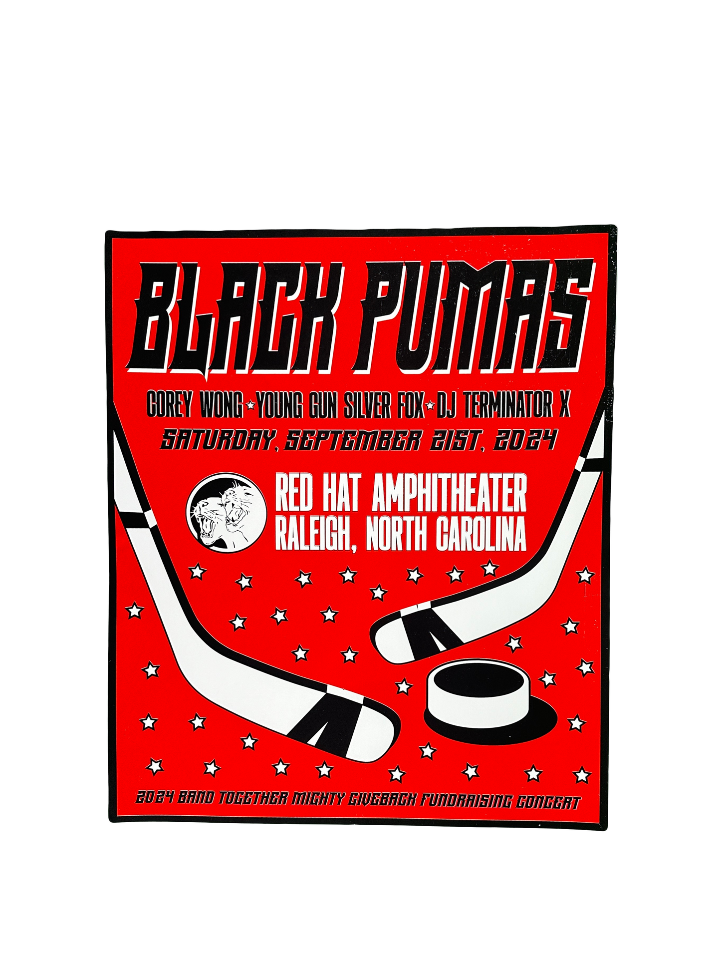 SHOW POSTER - RALEIGH